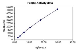 Eurofins DiscoverX Fes/Fps Protein, Active 10 &mu;g | Buy Online | Eurofins DiscoverX | Fisher Scientific